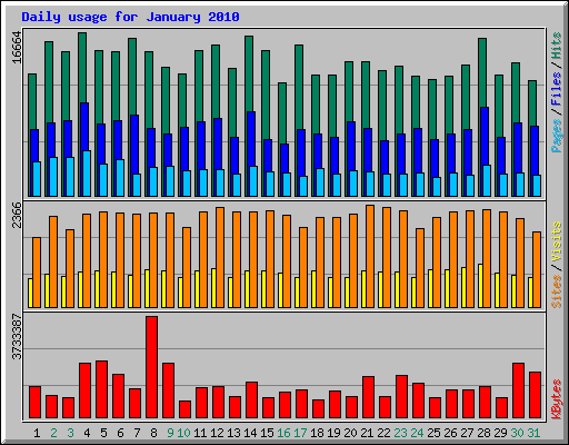 Daily usage for January 2010