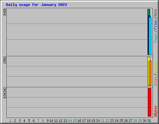 Daily usage for January 2023
