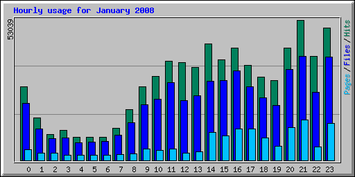 Hourly usage for January 2008