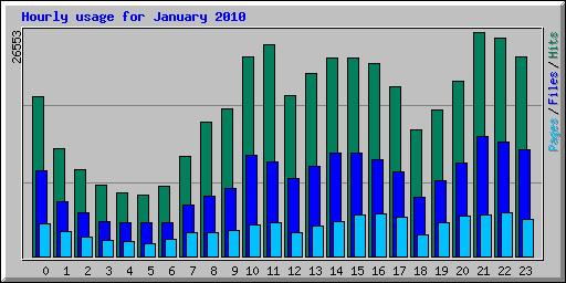 Hourly usage for January 2010