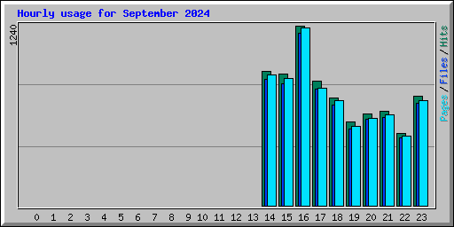 Hourly usage for September 2024