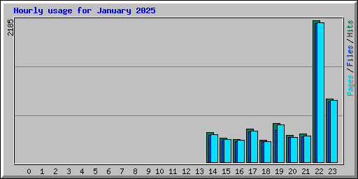 Hourly usage for January 2025