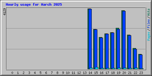 Hourly usage for March 2025