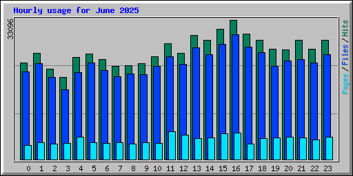 Hourly usage for June 2025