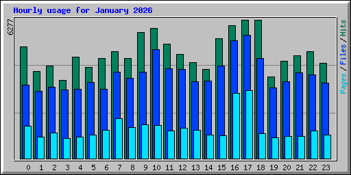 Hourly usage for January 2026