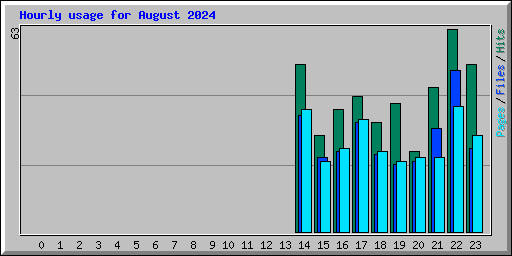 Hourly usage for August 2024