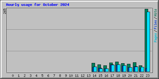 Hourly usage for October 2024