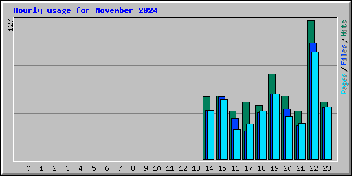 Hourly usage for November 2024