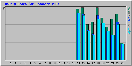 Hourly usage for December 2024