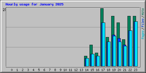 Hourly usage for January 2025