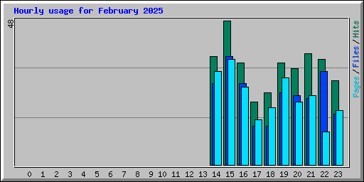 Hourly usage for February 2025