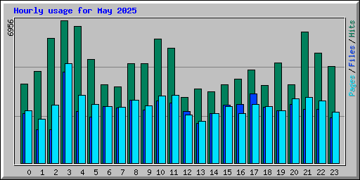 Hourly usage for May 2025