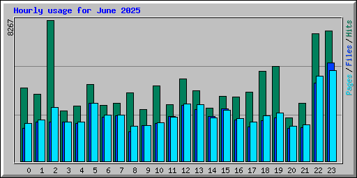 Hourly usage for June 2025