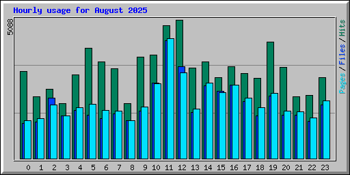 Hourly usage for August 2025