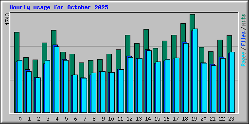Hourly usage for October 2025