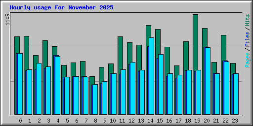 Hourly usage for November 2025