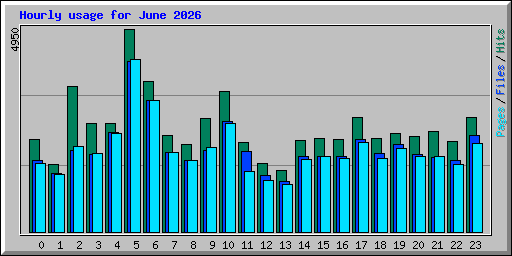 Hourly usage for June 2026