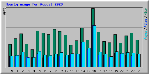 Hourly usage for August 2026