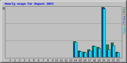 Hourly usage for August 2023