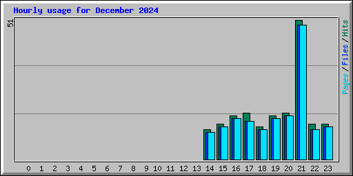 Hourly usage for December 2024