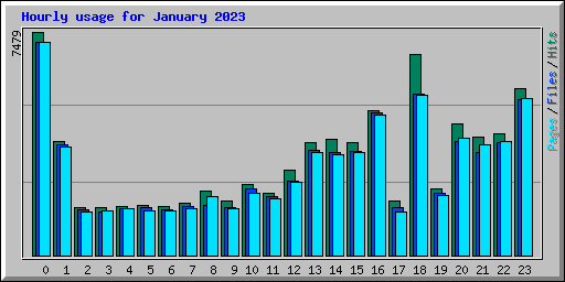 Hourly usage for January 2023