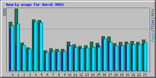 Hourly usage for March 2023
