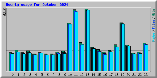 Hourly usage for October 2024