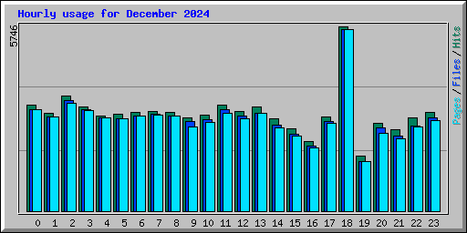 Hourly usage for December 2024