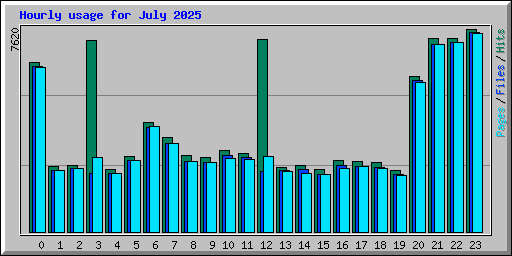 Hourly usage for July 2025