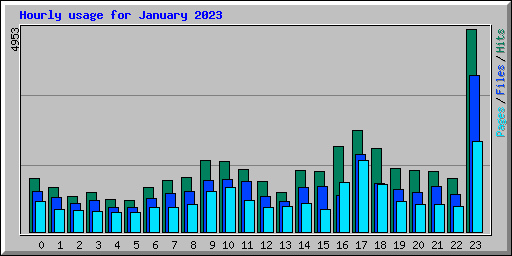 Hourly usage for January 2023