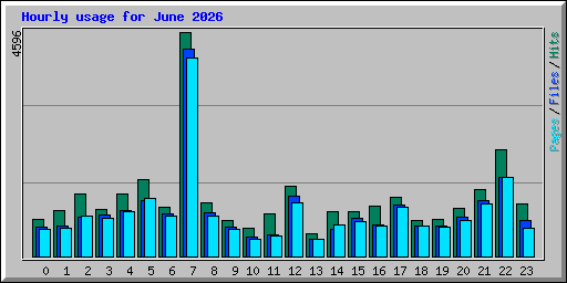 Hourly usage for June 2026