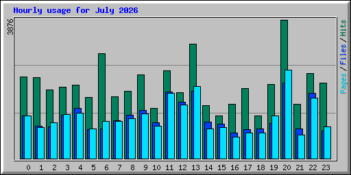 Hourly usage for July 2026