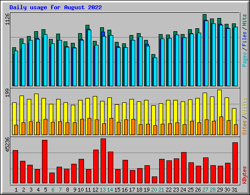 Daily usage for August 2022