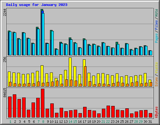 Daily usage for January 2023