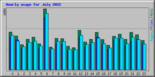 Hourly usage for July 2022