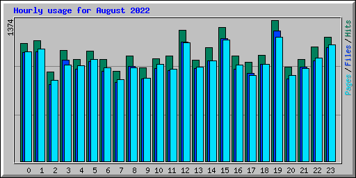 Hourly usage for August 2022