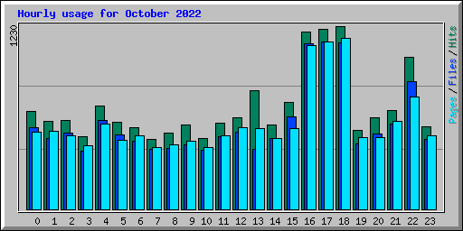 Hourly usage for October 2022