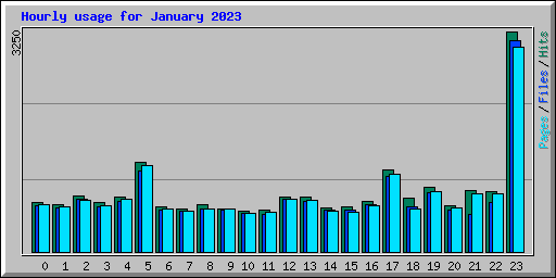 Hourly usage for January 2023