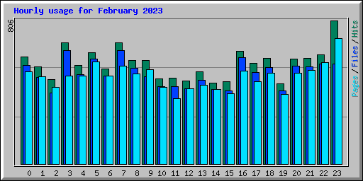 Hourly usage for February 2023
