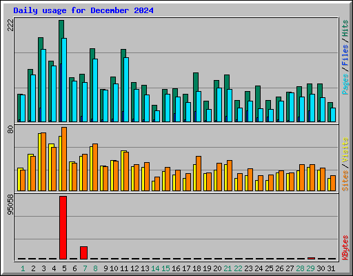 Daily usage for December 2024