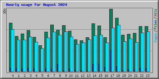 Hourly usage for August 2024