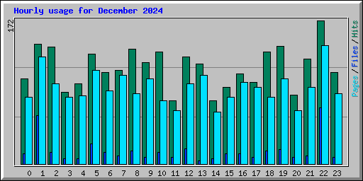 Hourly usage for December 2024