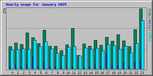 Hourly usage for January 2025