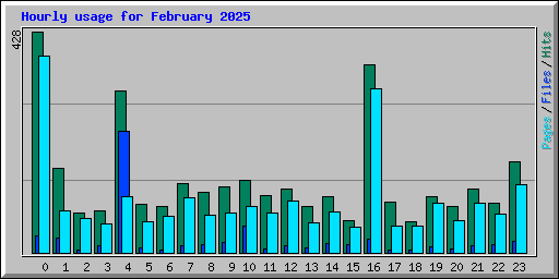 Hourly usage for February 2025
