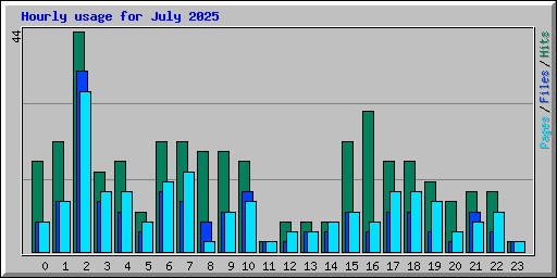 Hourly usage for July 2025