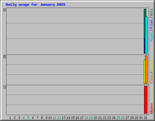 Daily usage for January 2025