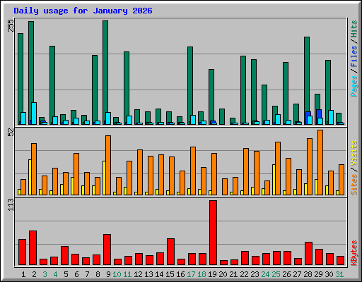 Daily usage for January 2026