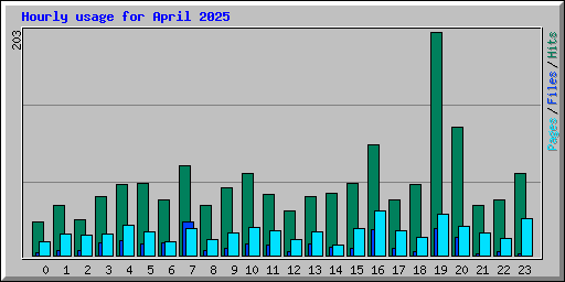 Hourly usage for April 2025