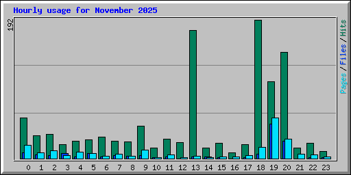 Hourly usage for November 2025