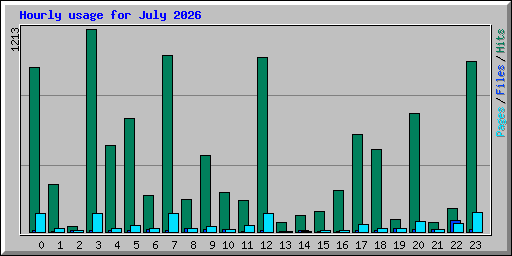 Hourly usage for July 2026